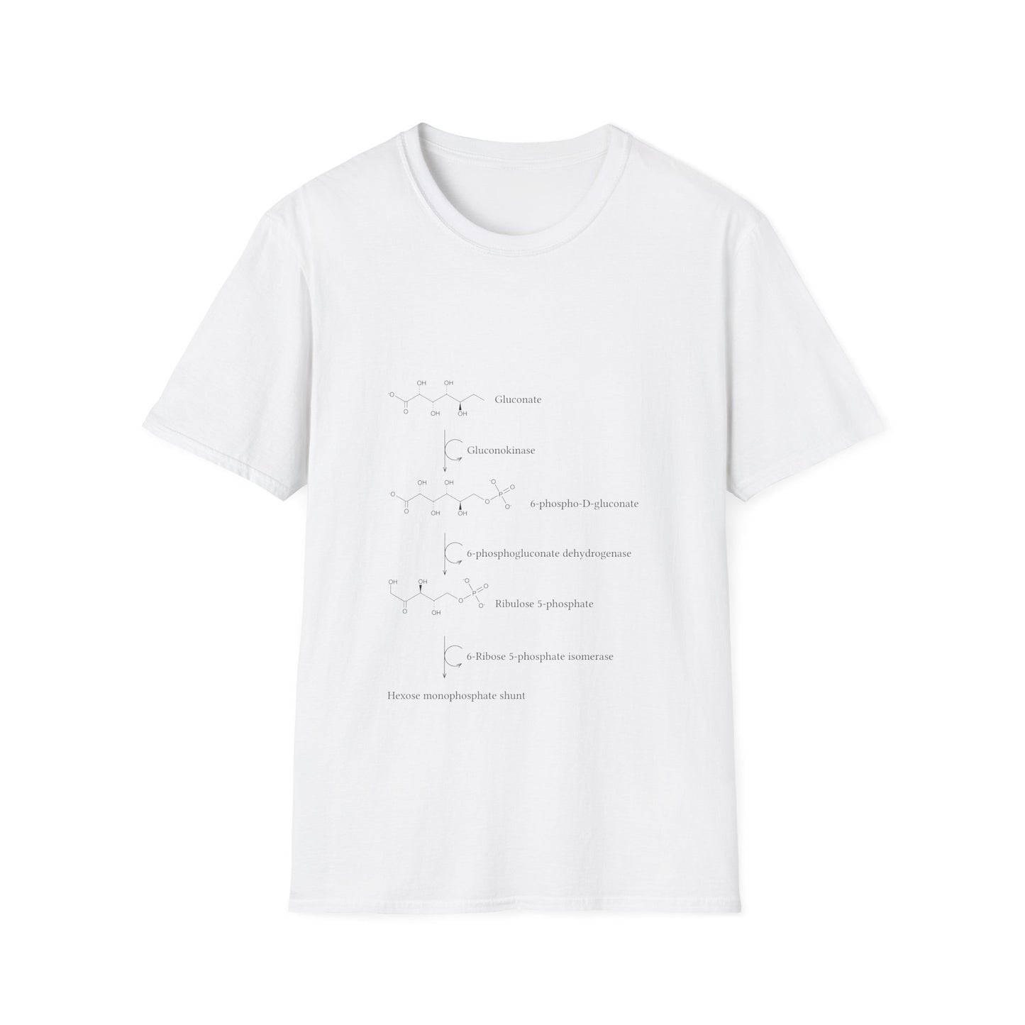 Gluconate metabolism