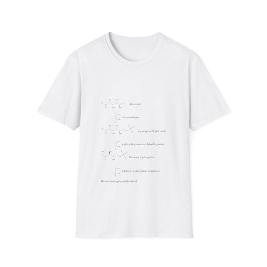 Gluconate metabolism